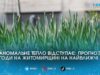 Аномальні +20°C скасовуються: на Житомирщину суне чорноморський циклон з дощами