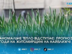 Аномальні +20°C скасовуються: на Житомирщину суне чорноморський циклон з дощами