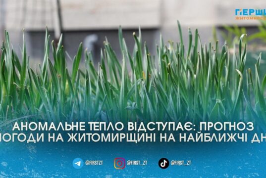 Аномальні +20°C скасовуються: на Житомирщину суне чорноморський циклон з дощами