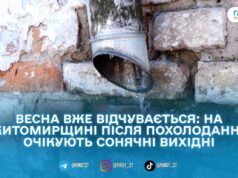 Весна приходить поступово: після короткого похолодання на Житомирщині знову потеплішає