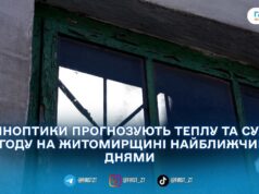 На Житомирщині прогнозують теплий і сухий тиждень: синоптики пояснили причину