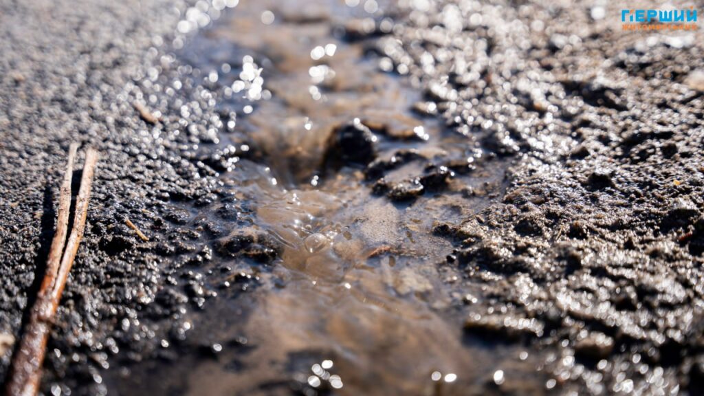 Весна наздоганяє календар: у Житомирі тане сніг, блищить вода...