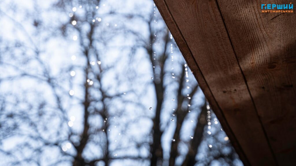 Весна наздоганяє календар: у Житомирі тане сніг, блищить вода...