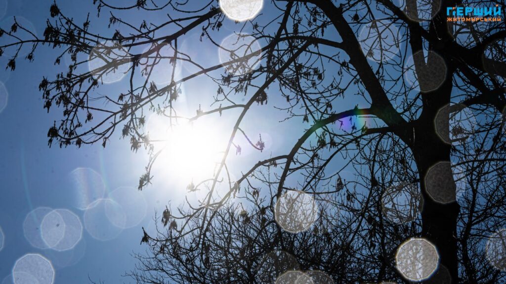 Весна наздоганяє календар: у Житомирі тане сніг, блищить вода...