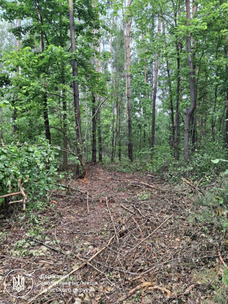 Коростенській міськраді виставили претензію на 1,6 млн грн через...