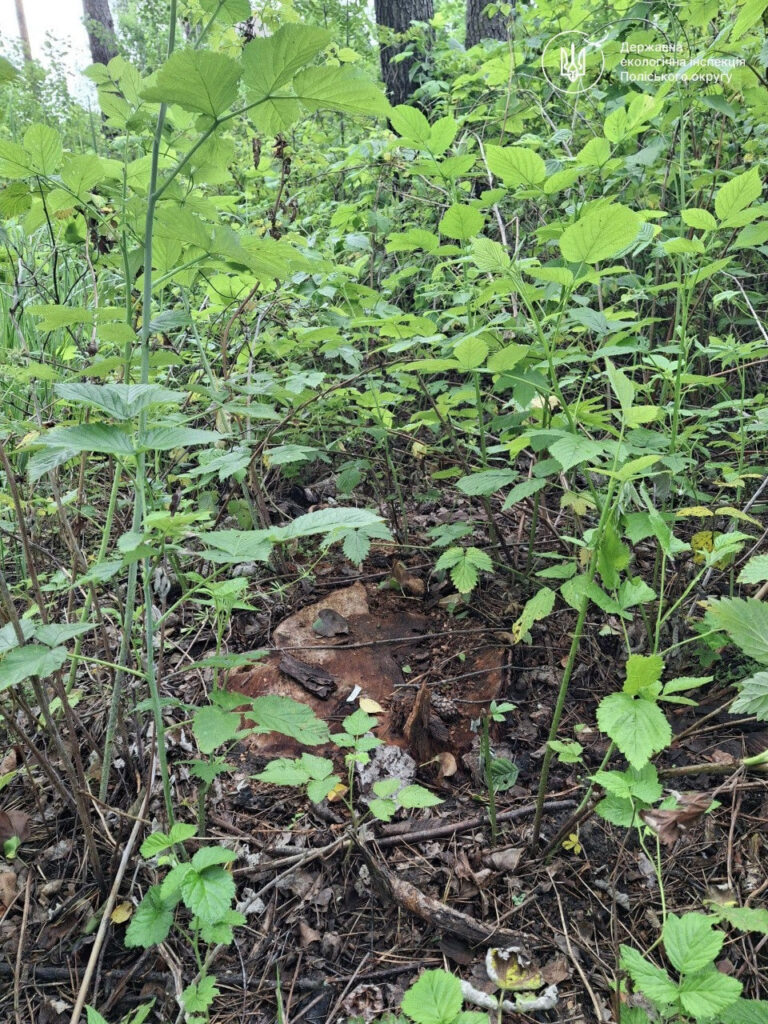 Коростенській міськраді виставили претензію на 1,6 млн грн через...