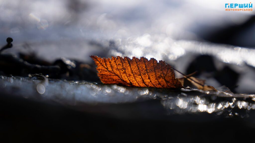Весна наздоганяє календар: у Житомирі тане сніг, блищить вода...