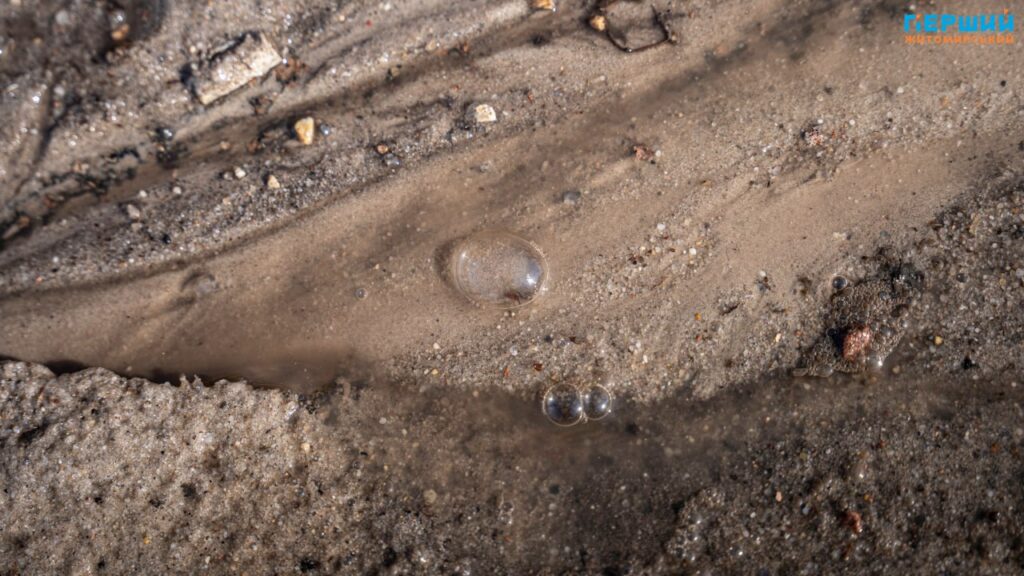 Весна наздоганяє календар: у Житомирі тане сніг, блищить вода...