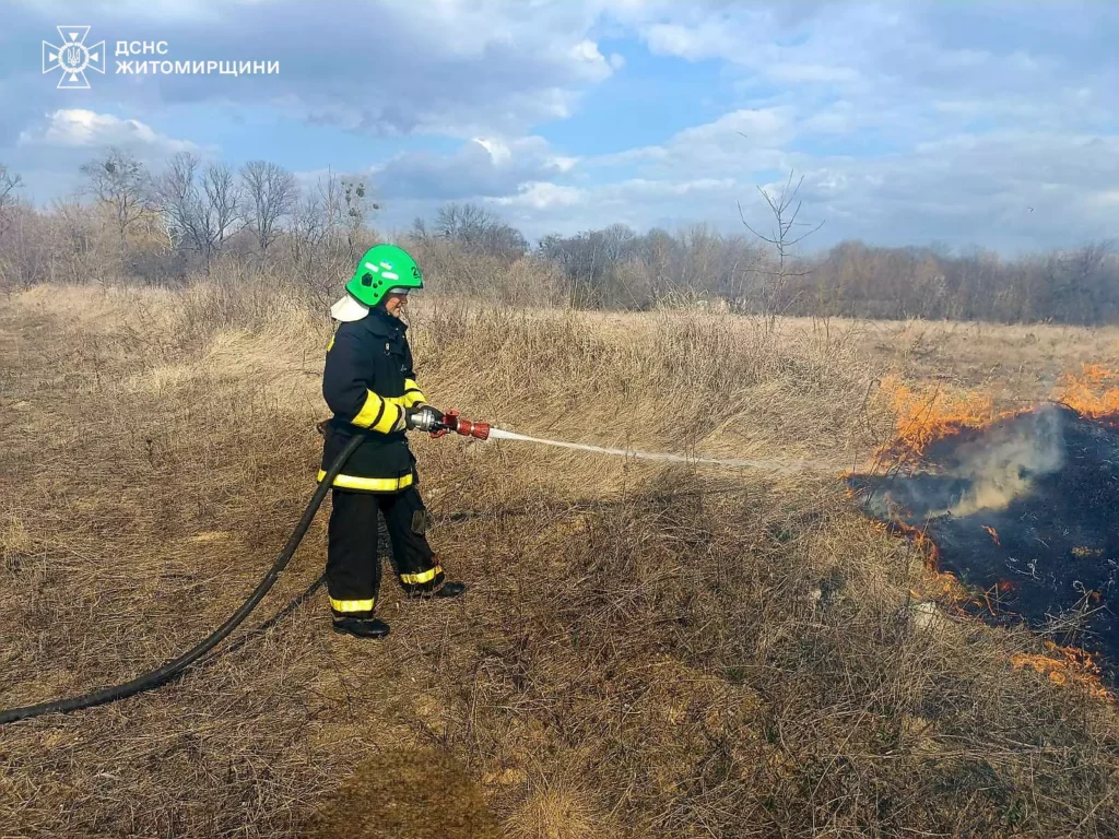 Майже 22 гектари вигоріло за добу: рятувальники загасили 25...