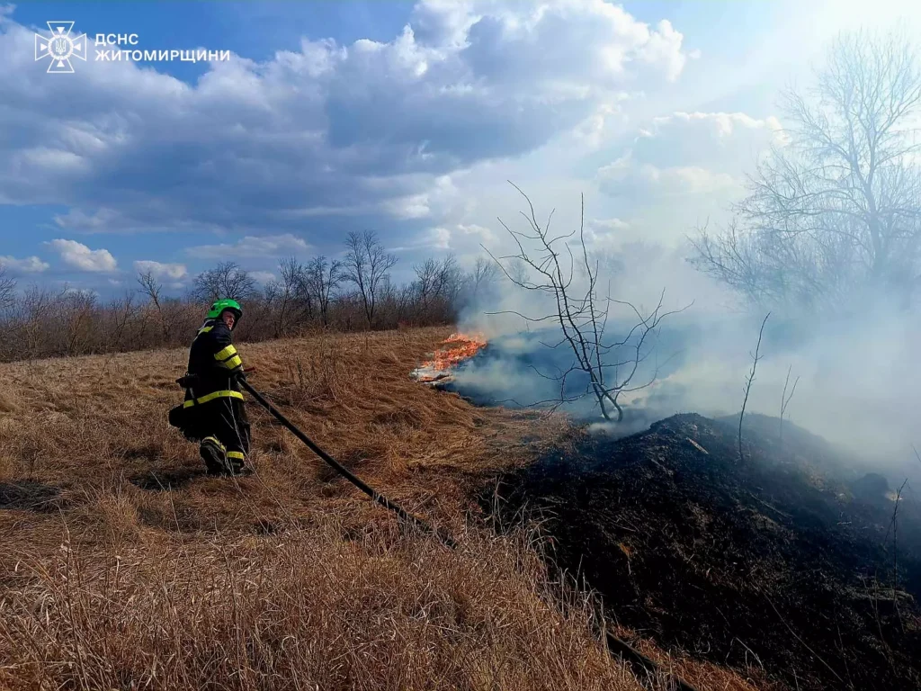 Майже 22 гектари вигоріло за добу: рятувальники загасили 25...