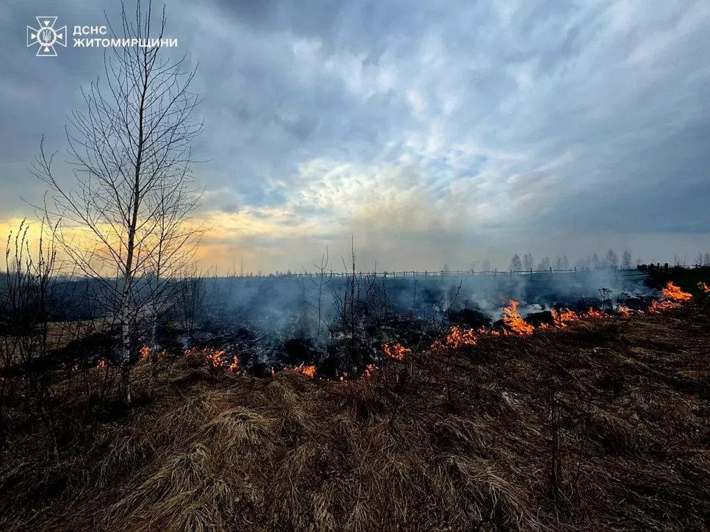 Майже 22 гектари вигоріло за добу: рятувальники загасили 25...