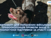 У Житомирі для поранених військових і правоохоронців провели захід із психологічної підтримки за участі собак