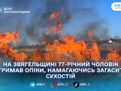 На Звягельщині 77-річний чоловік отримав опіки, намагаючись загасити сухостій