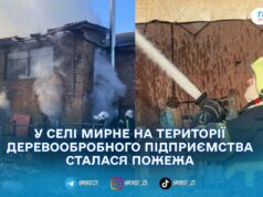 У Бердичівському районі загорілася котельня деревообробного підприємства: пожежу ліквідували
