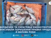 У Бердичівському районі екоінспектори виявили два порушення у сфері охорони водних біоресурсів