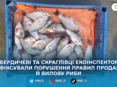 У Бердичівському районі екоінспектори виявили два порушення у сфері охорони водних біоресурсів