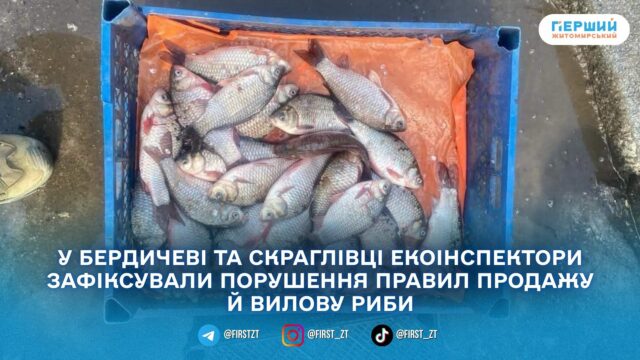 У Бердичівському районі екоінспектори виявили два порушення у сфері...