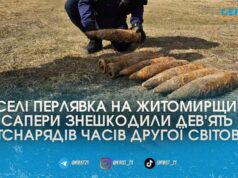 У Житомирському районі сапери ДСНС знищили дев’ять снарядів часів Другої світової війни