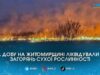 Майже 22 гектари вигоріло за добу: рятувальники загасили 25 пожеж сухостою на Житомирщині