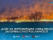 Майже 22 гектари вигоріло за добу: рятувальники загасили 25 пожеж сухостою на Житомирщині