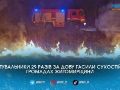На Житомирщині за добу сталося 29 пожеж сухостою: вогонь охопив понад 24 гектари