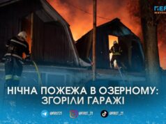 Пожежа в Озерному: вогонь ледь не знищив гаражний кооператив