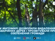 У Житомирі планують видалити аварійні дерева та звітують про понад 4,8 тисячі нових насаджень за 2025 рік