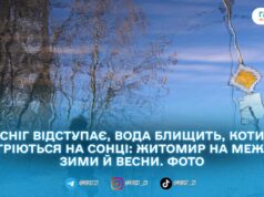 Весна наздоганяє календар: у Житомирі тане сніг, блищить вода і прокидається місто. ФОТОРЕПОРТАЖ