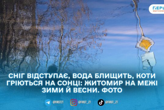 Весна наздоганяє календар: у Житомирі тане сніг, блищить вода і прокидається місто. ФОТОРЕПОРТАЖ