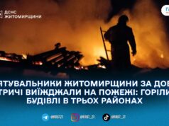 Дах вигорів повністю: у Городниці рятувальники зупинили полум’я біля житлових будинків