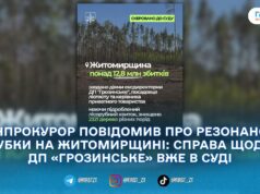 2321 дерево і понад 12,8 млн грн збитків: у справі про незаконні рубки на Житомирщині скерували обвинувальний акт до суду