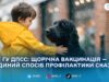 «Сказ не лише у безпритульних»: Держпродспоживслужба пояснила, чому щеплення потрібне всім тваринам