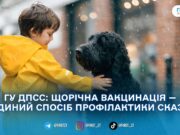 «Сказ не лише у безпритульних»: Держпродспоживслужба пояснила, чому щеплення потрібне всім тваринам