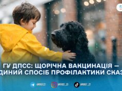 «Сказ не лише у безпритульних»: Держпродспоживслужба пояснила, чому щеплення потрібне всім тваринам
