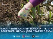 Три справи березня, які “рятують” сезон: що городникам варто зробити просто зараз