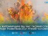 У селі Красногірка чоловік отримав опіки під час самостійного гасіння сухостою