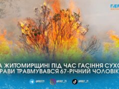 У селі Красногірка чоловік отримав опіки під час самостійного гасіння сухостою