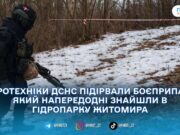 У житомирському Гідропарку знешкодили боєприпас часів Другої світової війни — ДСНС