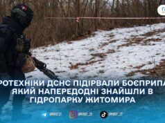 У житомирському Гідропарку знешкодили боєприпас часів Другої світової війни — ДСНС