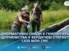 Апеляційний суд зобов’язав ТОВ «КЕС» сплатити понад 1,6 млн грн збитків за забруднення річки Гнилоп’ять — екоінспекція