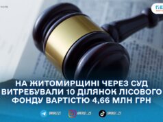 Прокуратура через суд повернула у власність Житомирської облради майже 261 гектар лісових земель