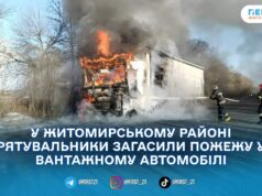 Поблизу Теснівки на Житомирщині загорілася вантажівка: вогонь охопив кабіну і моторний відсік