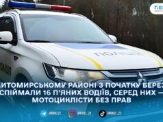 З початку березня на дорогах Житомирського району виявили 16 нетверезих водіїв — поліція