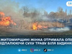 На Житомирщині за вихідні під час пожеж сухостою травмувалися двоє людей
