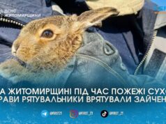 У селі Нові Озеряни рятувальники винесли зайченя з вогню під час пожежі сухостою