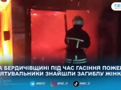 В Андрушівці під час пожежі в гаражі виявили тіло жінки