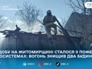На Житомирщині через пожежі сухостою згоріли дві господарчі споруди