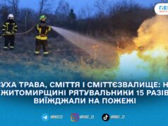 По Житомирській області за добу вигоріло понад 9 гектарів території: вогонь загрожував і житловим будинкам