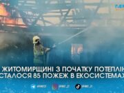 На Житомирщині через спалювання трави ледь не згоріло село: за тиждень зафіксували 85 пожеж в екосистемах