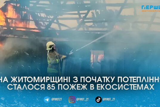 На Житомирщині через спалювання трави ледь не згоріло село: за тиждень зафіксували 85 пожеж в екосистемах